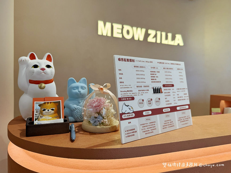 喵吉拉渡假村 台北貓旅館