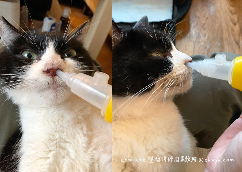 貓用優生吸鼻器
