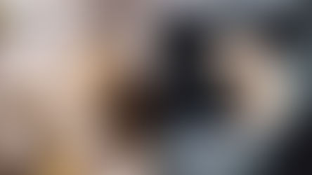 貓狗看診、出遊,交通方式推薦|寵物友善計程車APP「呼叫小黃」,幫寵物找到專屬司機