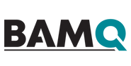 bamq.pdf.png