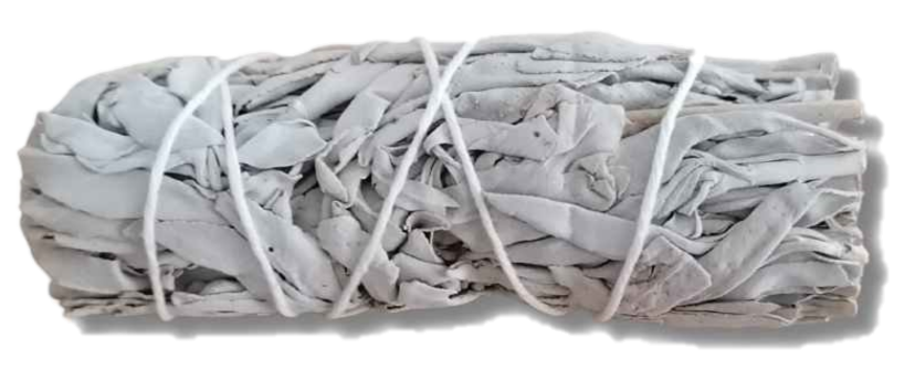 Tochas de Sálvia Branca