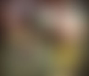 ROMY TAHIS: ATLETA CHILENA COMPITIENDO EN MÉXICO.