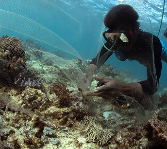 PMNusantara Team Diver