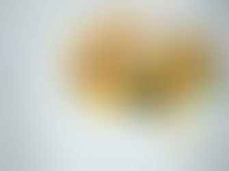 PLATILLOS PARA LA MENTE