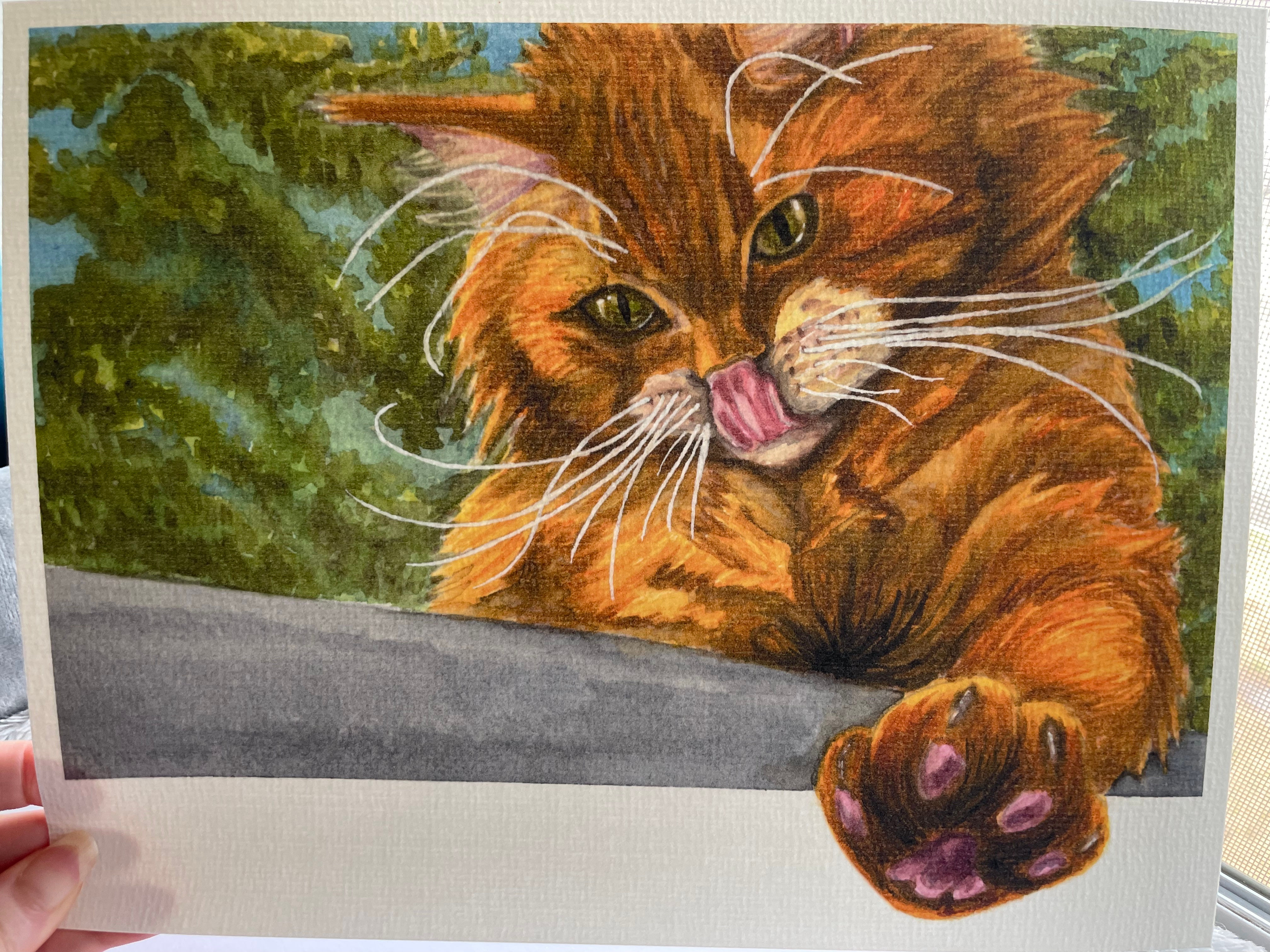 Reaching Cat - Fine Art Print
