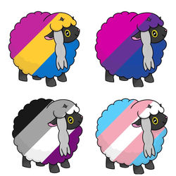 Pride Wooloos 1