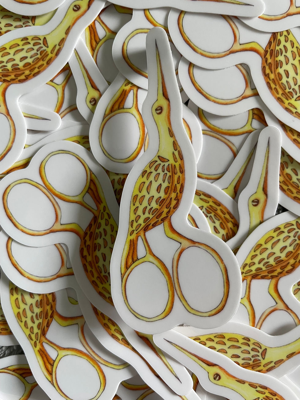 A sticker of a painted pair of bird scissors