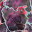 Thumbnail: Chonky Chicken Holographic Stickers