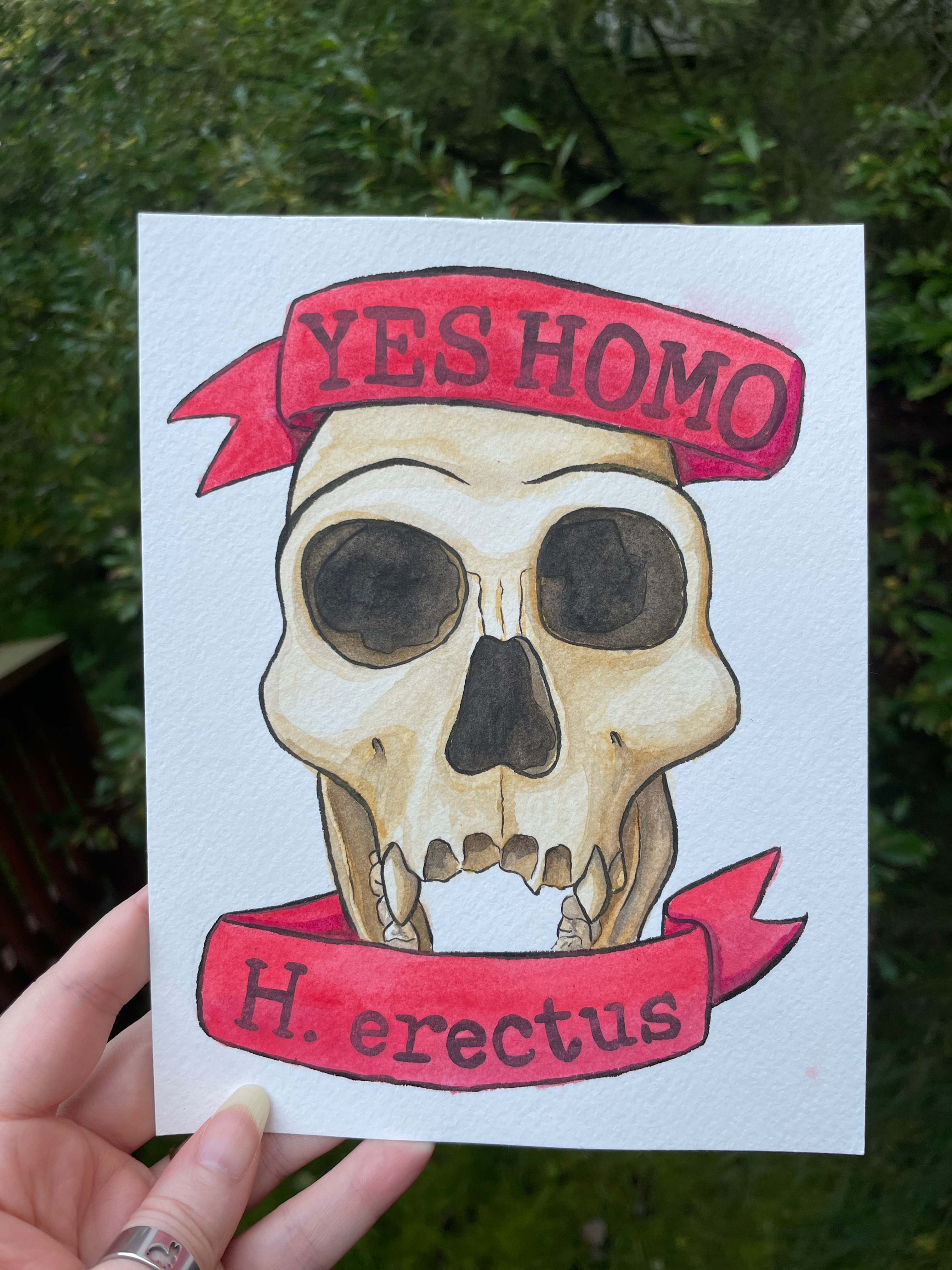 Yes Homo Original Art