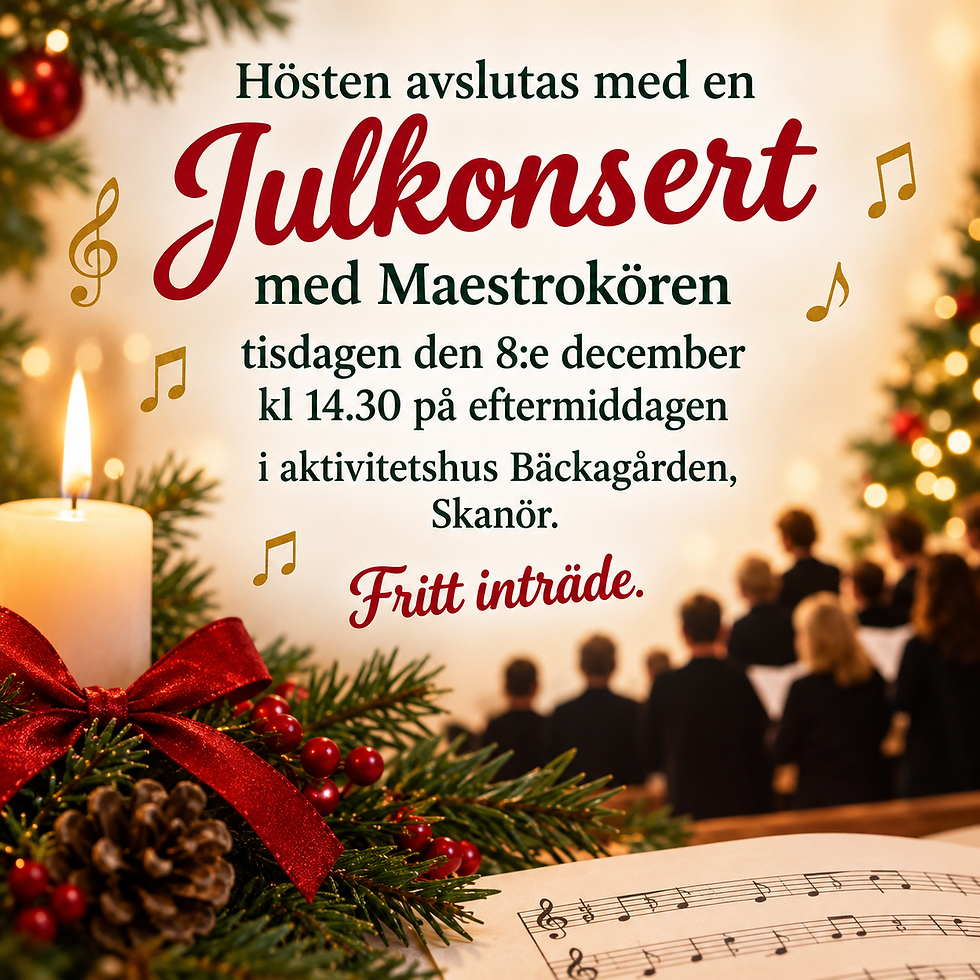 Julkonsert med Maestrokören