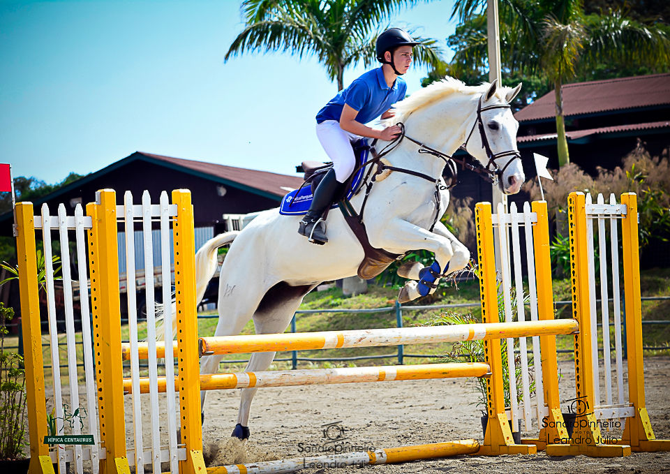 _DSC0029 (2)