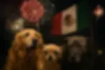 perros, asustados, pirotecnia, fuegos artificiales, independencia de México, 15 de septiembre