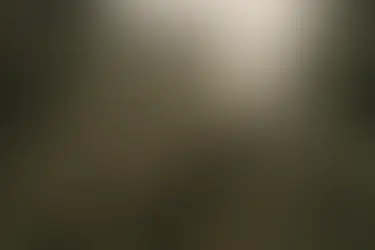 Seguridad Sísmica en México: Prevención, Memoria y Acción