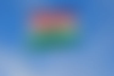 Beyond Freedom - The Pain, the Betrayal, and the Truth