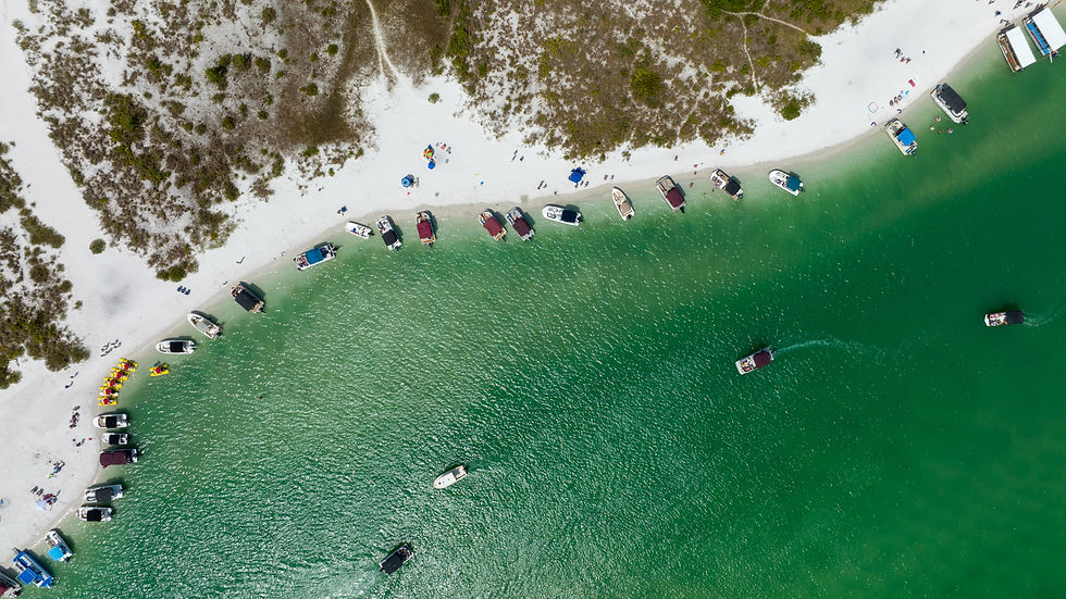 www.gulfshorelife.jpg