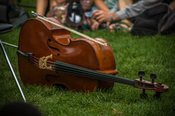 Festival "Ca fait Zizir" Lyon 2014