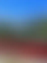 Uma fotografia vibrante capturando os vagões panorâmicos vermelhos do trem Bernina Express atravessando a paisagem alpina sob um céu azul profundo e sem nuvens. O trem, posicionado na metade inferior da imagem, possui grandes janelas de vidro curvas que refletem a luz solar. Ao fundo, erguem-se montanhas majestosas com picos cobertos de neve eterna e glaciares que descem pelas encostas rochosas. Uma densa floresta de pinheiros verdes emoldura a linha férrea, contrastando com o cinza das rochas e o branco da neve ao longe. A perspectiva lateral enfatiza a extensão do trem e a grandiosidade da natureza ao redor.