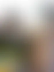 Chongqing: a megalópole chinesa que desafia a lógica urbana com arquitetura impossível