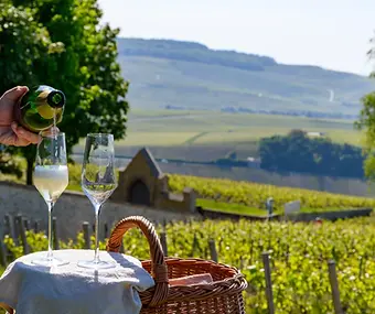 Rota do Champagne, Normandia e Paris com Concerto de André Rieu em Maastricht - Viagem em Grupo com Guia Brasileiro - Domundo Operadora