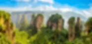 China - Zhangjiajie - Parque Florestal - shutterstock_547663615.webp