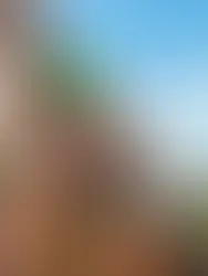 Vista aproximada de uma secção do Castelo de Malbork, construído em tijolo vermelho característico do estilo gótico báltico. À esquerda, destaca-se uma torre cilíndrica com telhado cónico de terracota. Uma ponte de madeira escura com corrimãos atravessa um fosso, ligando a uma entrada em arco no edifício principal. As paredes exibem detalhes arquitetónicos como arcos ogivais e padrões geométricos no tijolo. À direita, árvores verdes frondosas contrastam com a pedra vermelha sob um céu azul claro com nuvens brancas.