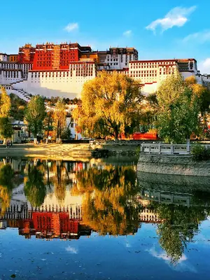 Uma fotografia panorâmica e de ângulo ligeiramente elevado do Palácio de Potala em Lhasa, no Tibete. A imponente fortaleza-palácio está situada no topo da colina de Marpo Ri, apresentando paredes inclinadas brancas e vermelhas, com inúmeras janelas pequenas e telhados dourados que brilham sob a luz do sol. Em primeiro plano, uma praça pavimentada e uma avenida larga exibem o movimento de alguns veículos e pedestres. A base da colina é cercada por árvores verdes e muros de pedra. O fundo é composto por uma vasta cadeia de montanhas áridas sob um céu azul intenso e límpido, típico da alta altitude da região. A iluminação é natural, clara e frontal, realçando a grandiosidade arquitetônica e as cores vibrantes do monumento histórico.