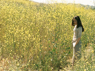 What’s Your Blog About?