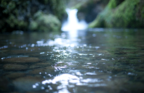 tumblr_n5iwg71UVz1szzplzo1_500