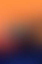 An N7 card, Systems Alliance themed collectible coin, and N7 medal housed in a specialty box that has artwork of Commander Shepard from Mass Effect's side profile on the inside lid of the box