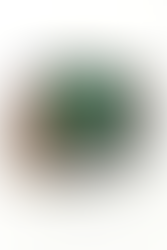 Fallout 76 Pip-Boy 2000 MK VI prop replica in a muted grey and silver grey Enclave color scheme with screen and vacuum tubes illumination. It also comes with 1 Holotape and 1 reversible Vault-Tec branded screwdriver. It comes housed in a specialty box and  Enclave branded certificate of authenticity