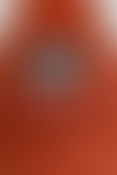 Plush set based on the Nuka-World from Fallout 4 mascots, Bottle and Cappy