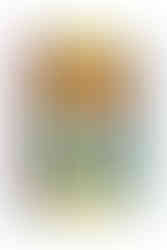 Fallout The Official Vault Dweller's Advent Calendar. Santa Vault Boy is on the front giving his signature winking and thumbs up pose