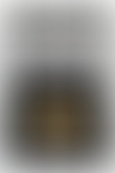 NCR New California Republic from Fallout: New Vegas challenge coin, made out of zinc alloy material with an antique gold finish. Embossed detail on both sides, one side has a high relief NCR Ranger with text that says: quieter than a show and more ferocious than a Deathclaw, and the other side has a low relief NCR Grizzly with text that says: New California Republic Ranger, 2241-2271, and Sic Semper Tyrannis