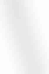 detail shot of a stainless steel rope chain