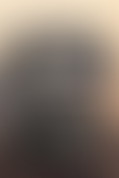 A foldable sun visor or sun shade that features the Normandy SR-2 from Mass Effect printed on one side, with UV protection on the backside. Folds into a small circle to fit inside of a matching drawcord bag