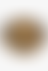 NCR New California Republic from Fallout: New Vegas challenge coin, made out of zinc alloy material with an antique gold finish. Embossed detail on both sides, one side has a high relief NCR Ranger with text that says: quieter than a show and more ferocious than a Deathclaw, and the other side has a low relief NCR Grizzly with text that says: New California Republic Ranger, 2241-2271, and Sic Semper Tyrannis