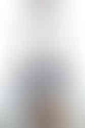 Mothman statue from Fallout 76 based on the one seen in game next to the Mothman Museum