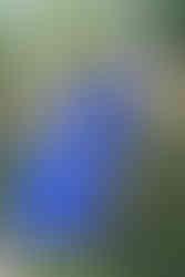 Vault 111 from Fallout 4 dog or cat hoodie