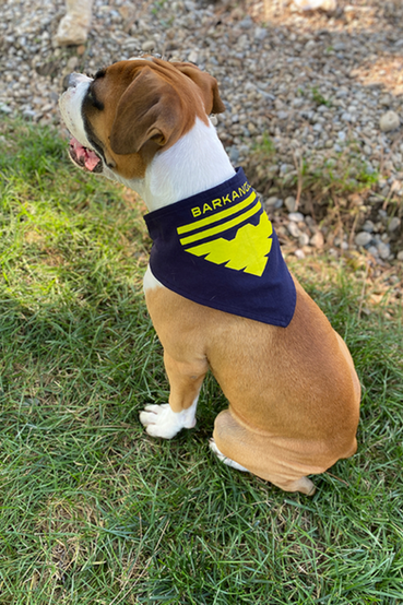 3-piece dog accessory set: dog shirt that has Garrus Vakarian from Mass Effect and text that says 'I'm in the middle (of some) Howlibrations' on the back, and a small Mass Effect text logo on the front. It also comes with two matching bandanas, one design says 'Garrus Barkarian' and the other says 'Barkangel' with the gold Archangel logo