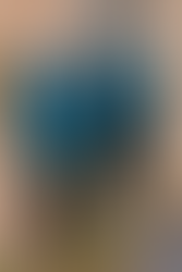 Winter parka by Volante Design, modeled after Garrus Vakarian from Mass Effect. It features a high collar mimicking a Turian's with a spacious hoodie attached, with a Turian Blue outer shell fabric and bold white accents