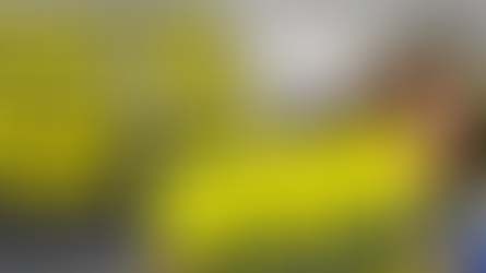 Vault-Tec Stash Box 005 by Bethesda Gear