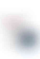 Mothman statue from Fallout 76 based on the one seen in game next to the Mothman Museum