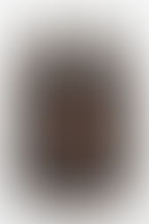 Fallout: New Vegas Sunset Sarsaparilla inspired stein mug featuring faux wood and rope stein made out of resin, a metal Sunset Sarsaparilla Deputy Badge made out of zinc alloy on the front of the stein, and a stainless steel cup insert that's removable 