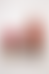 Plush set based on the Nuka-World from Fallout 4 mascots, Bottle and Cappy