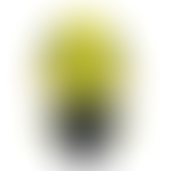 Thane Krios from Mass Effect plushie done in a cute and chibi style