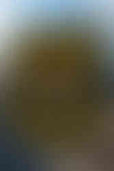 Atom Cats from Fallout 4 banner