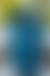 Winter parka by Volante Design, modeled after Garrus Vakarian from Mass Effect. It features a high collar mimicking a Turian's with a spacious hoodie attached, with a Turian Blue outer shell fabric and bold white accents