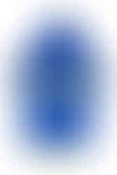 Vault 111 from Fallout 4 dog or cat hoodie