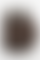 Fallout: New Vegas Sunset Sarsaparilla inspired stein mug featuring faux wood and rope stein made out of resin, a metal Sunset Sarsaparilla Deputy Badge made out of zinc alloy on the front of the stein, and a stainless steel cup insert that's removable 