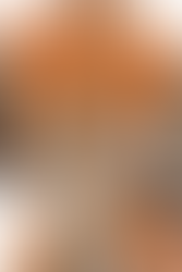 Polyresin statue of Paladin Danse from Fallout 4 wearing the orange inner jumpsuit from the Brotherhood of Steel, while holding a Laser Rifle. His right leg is stepping on the dismembered head of a Feral Ghoul